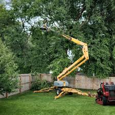 Best Hedge Trimming  in Lewiston, UT