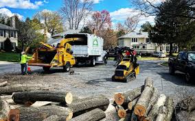 Best Utility Line Clearance  in Lewiston, UT