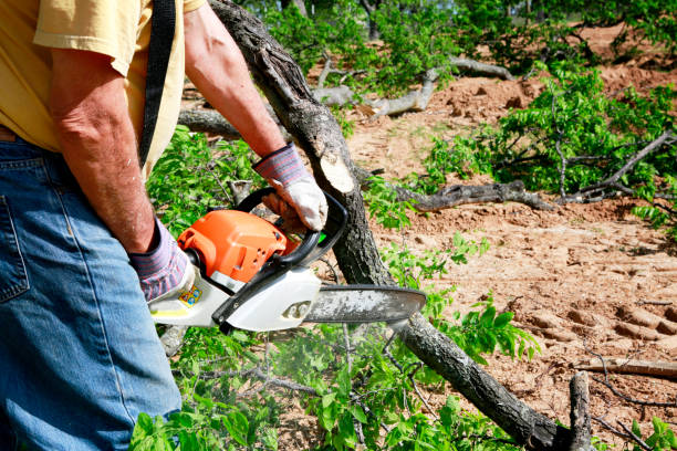 Best Aeration Services  in Lewiston, UT